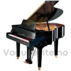 Grand Piano: Classic Acoustic in Louisiana